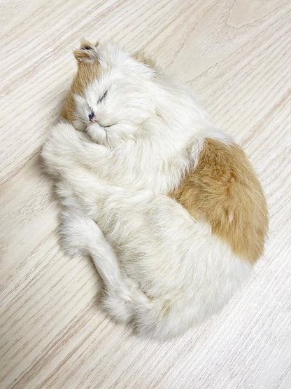 vintage realistic rabbit fur sleeping cat - good market thrift store