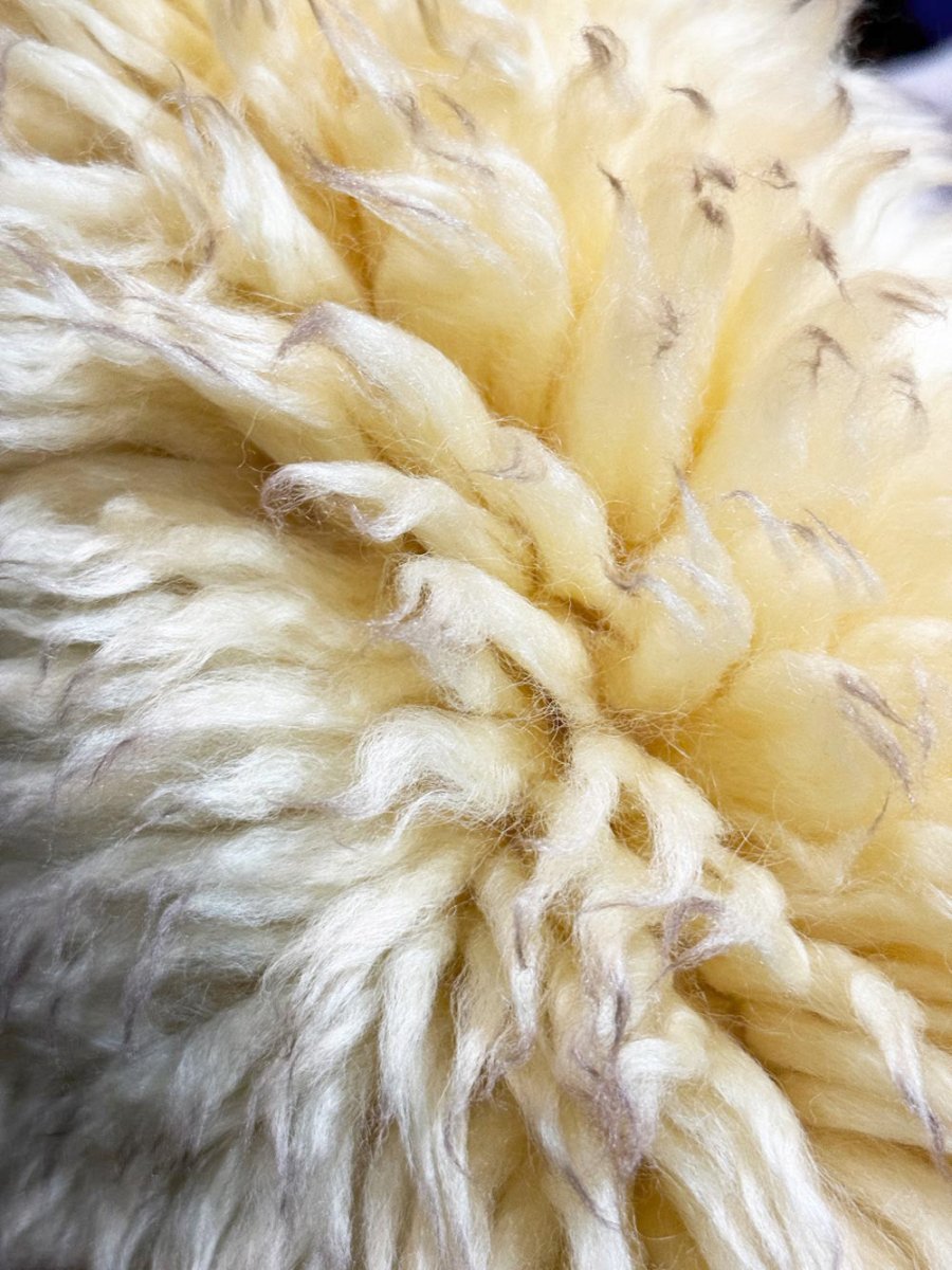 vintage sheepskin chair cover | area rug - good market thrift store