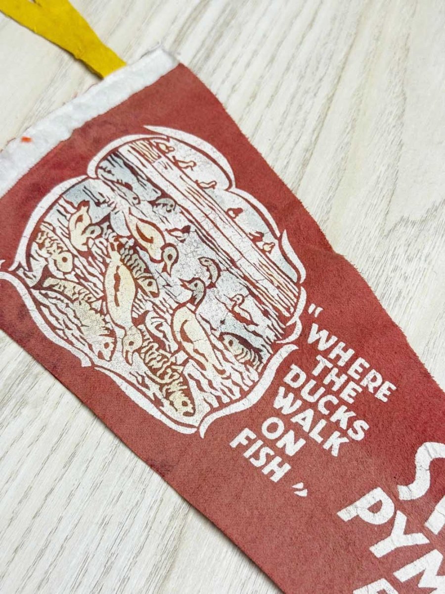 vintage spillway pymatuning lake pennant | pennsylvania - good market thrift store