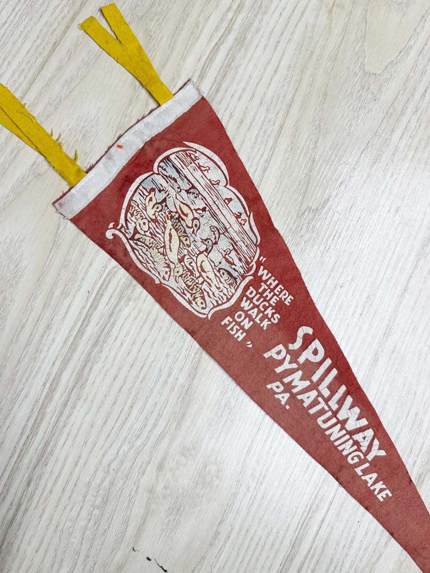 vintage spillway pymatuning lake pennant | pennsylvania - good market thrift store