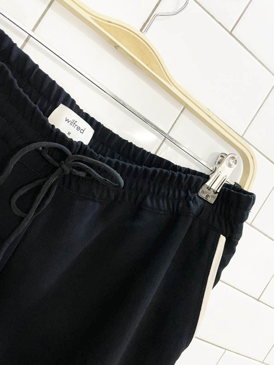 wilfred buffon side stripe trouser jogger | aritzia - good market thrift store