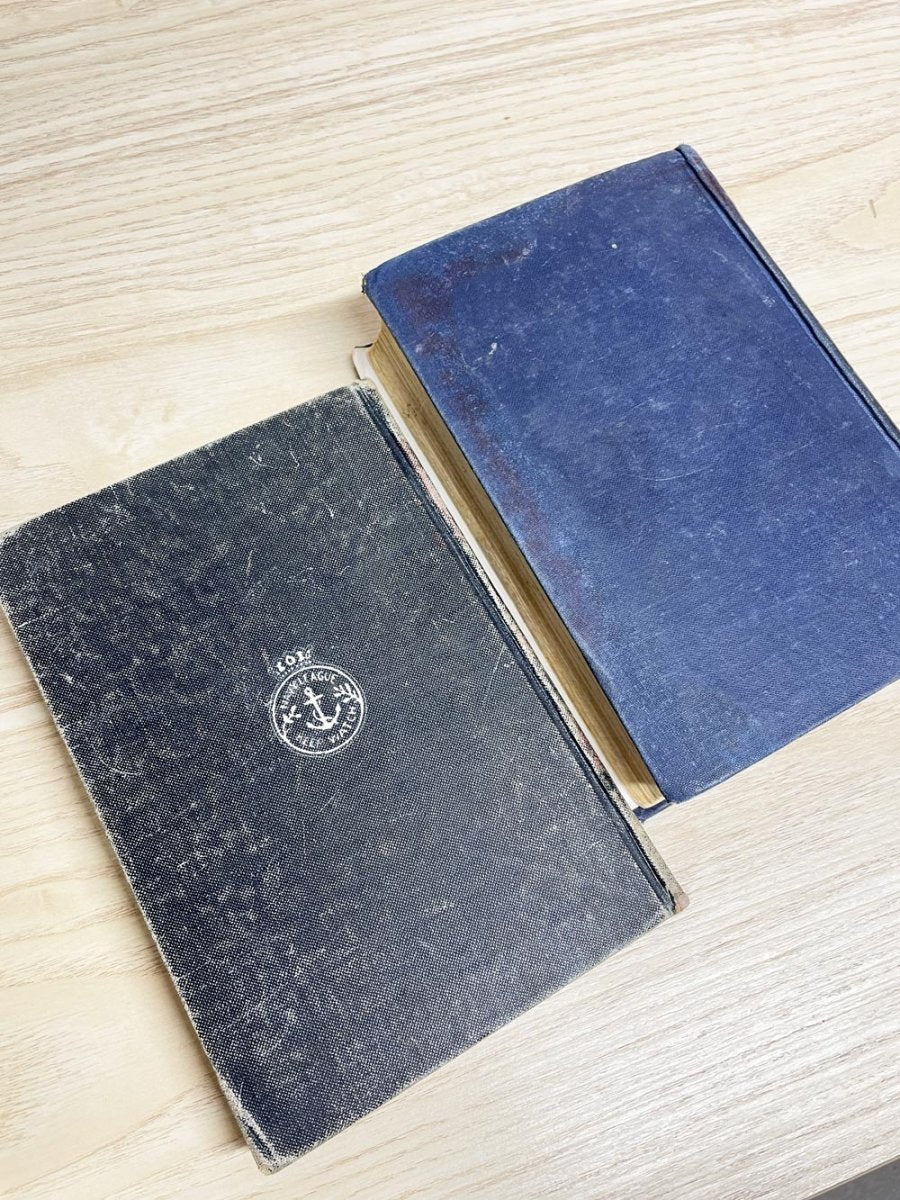 x2 vintage display hardcover books - good market thrift store