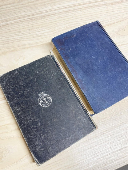 x2 vintage display hardcover books - good market thrift store