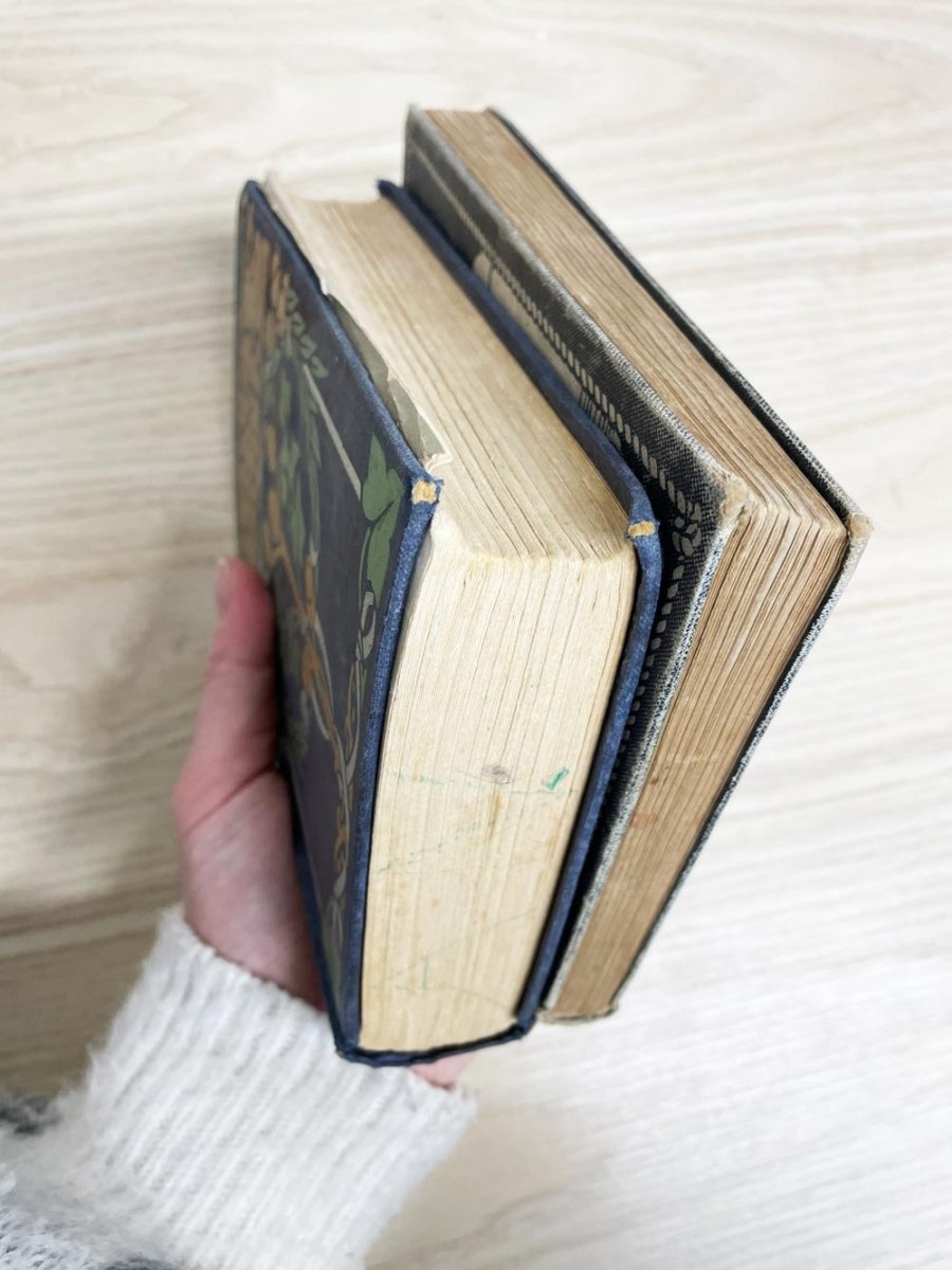 x2 vintage display hardcover books - good market thrift store