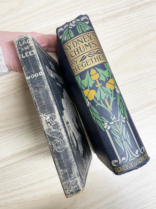 x2 vintage display hardcover books - good market thrift store