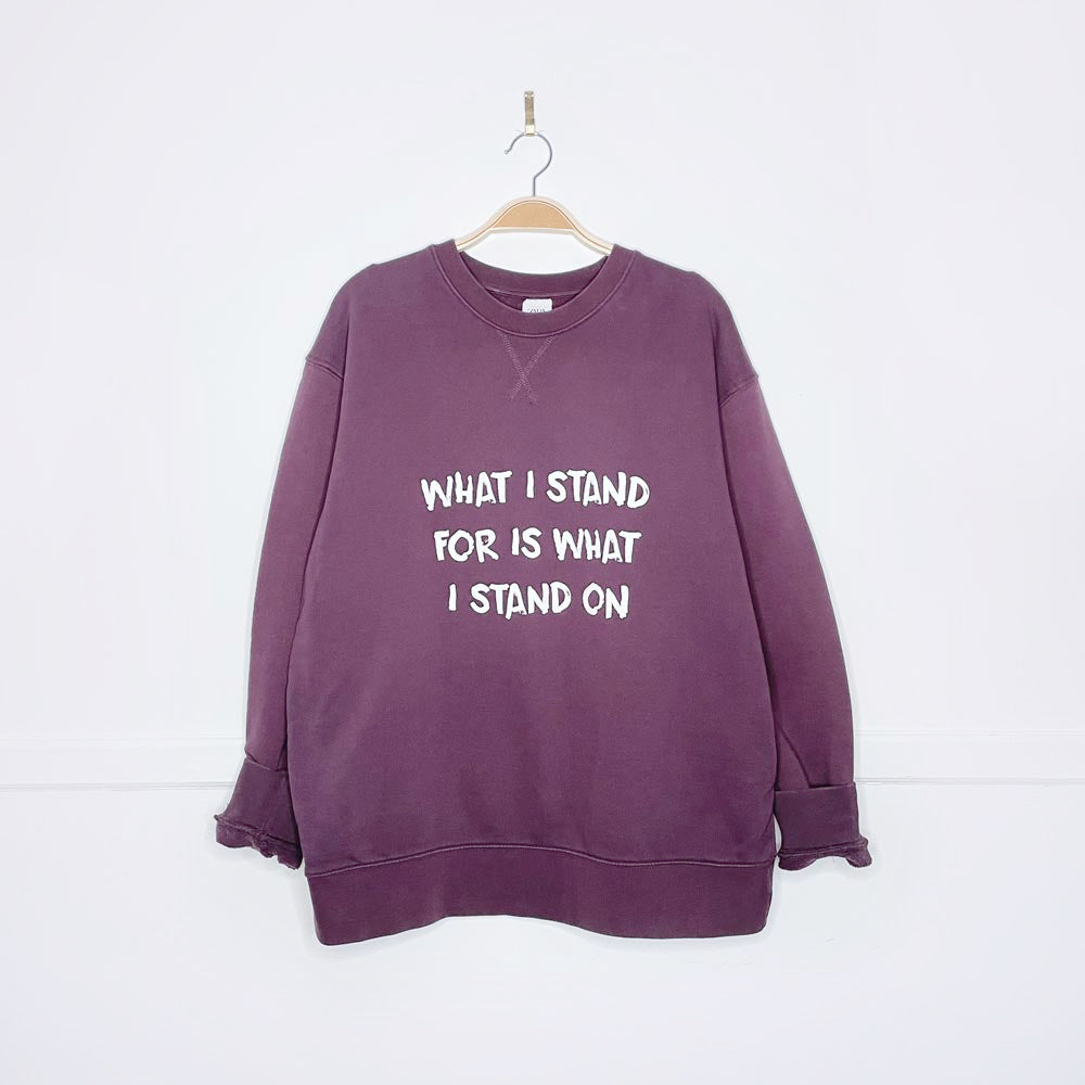 zara x earth activist cozy sweatshirt