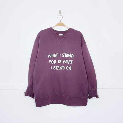 zara x earth activist cozy sweatshirt
