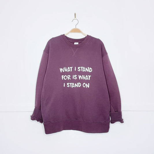 zara x earth activist cozy sweatshirt