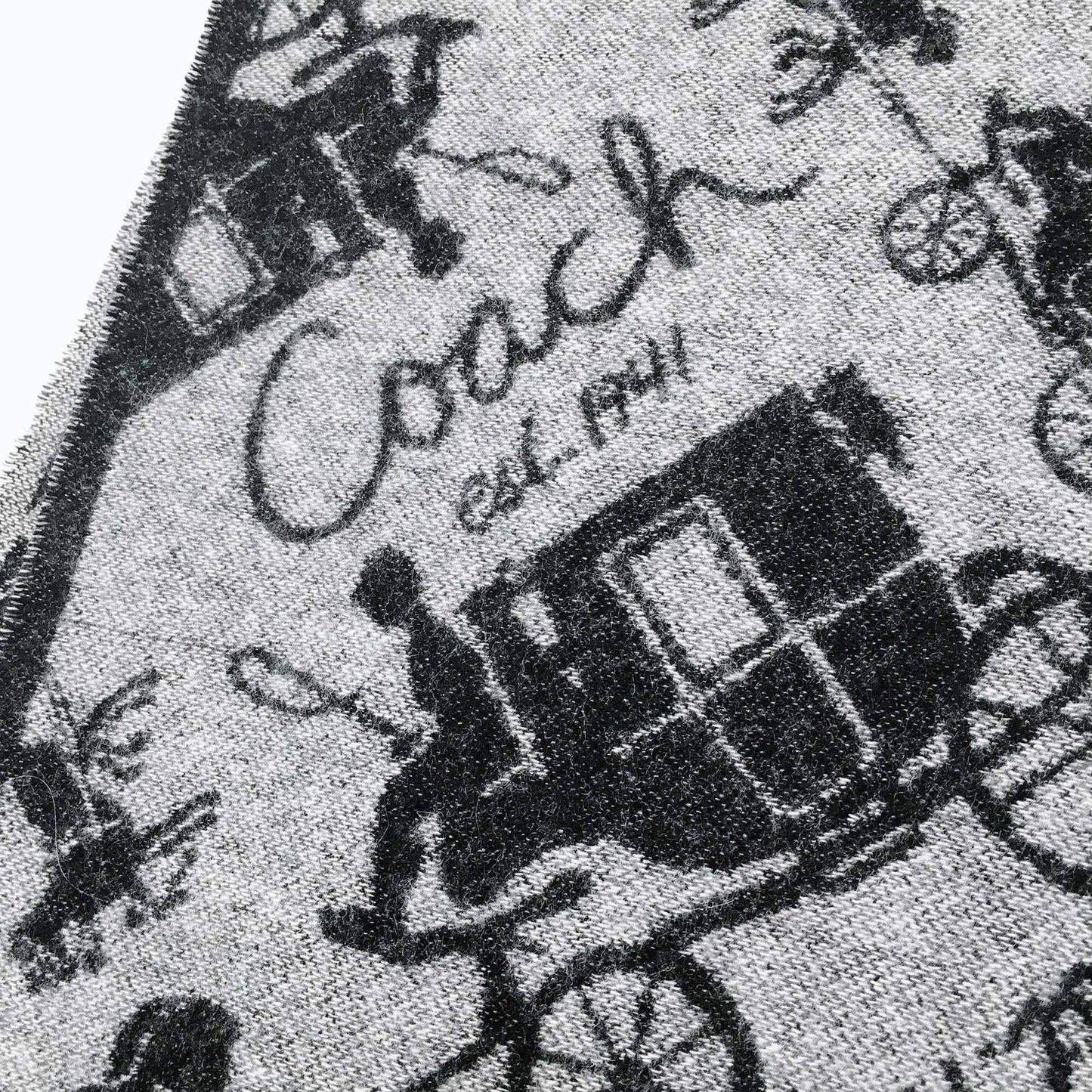Coach wool-cashmere horse &amp; carriage scarf