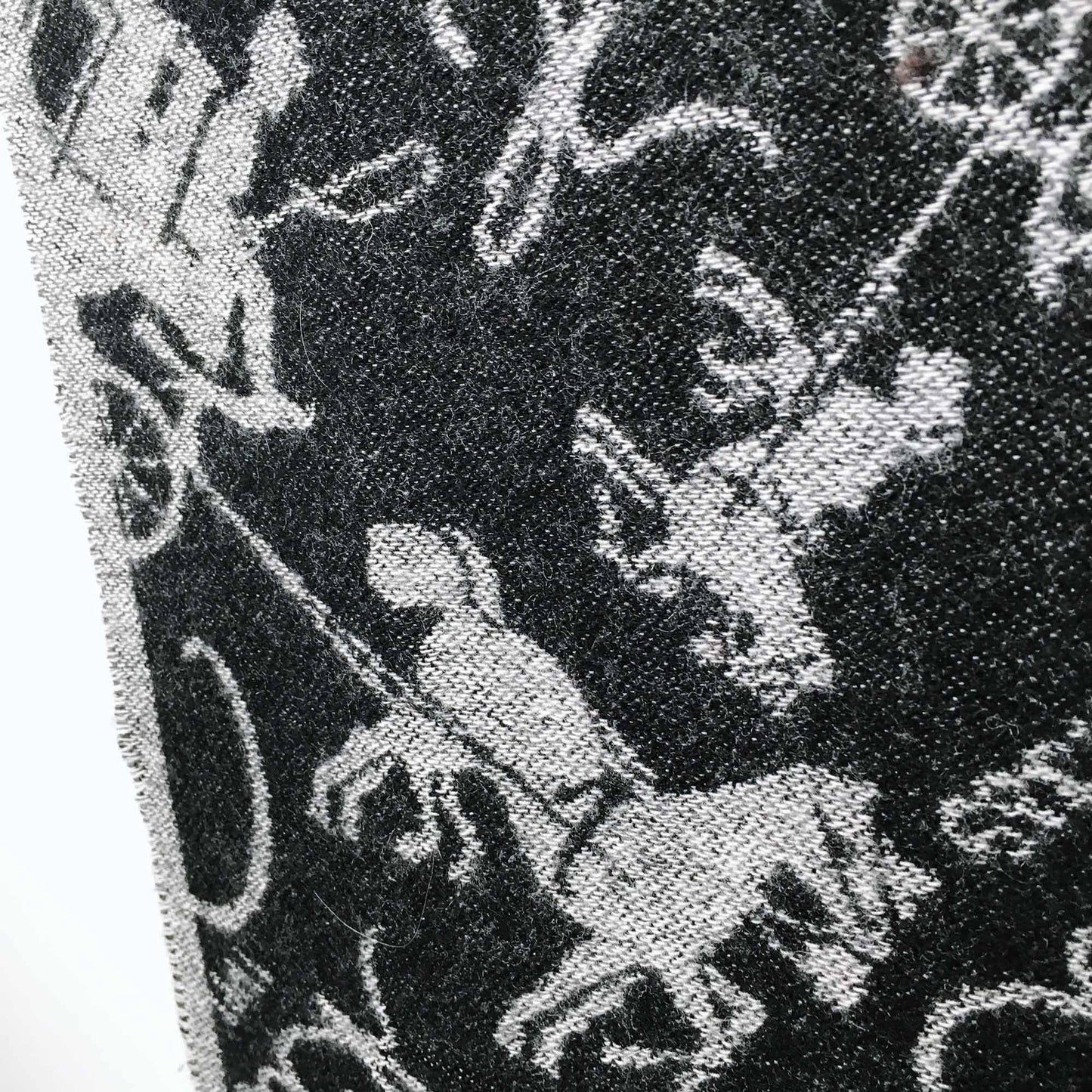 Coach wool-cashmere horse &amp; carriage scarf