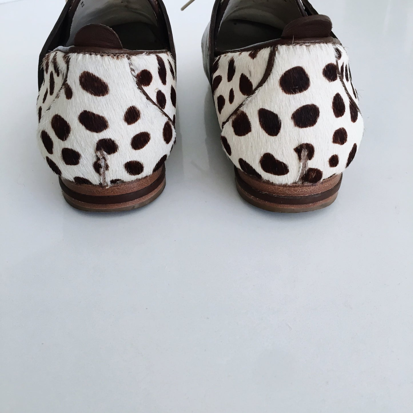 Freda Salvador Change Leopard shoes in Espresso - size 7 - Anthropologie