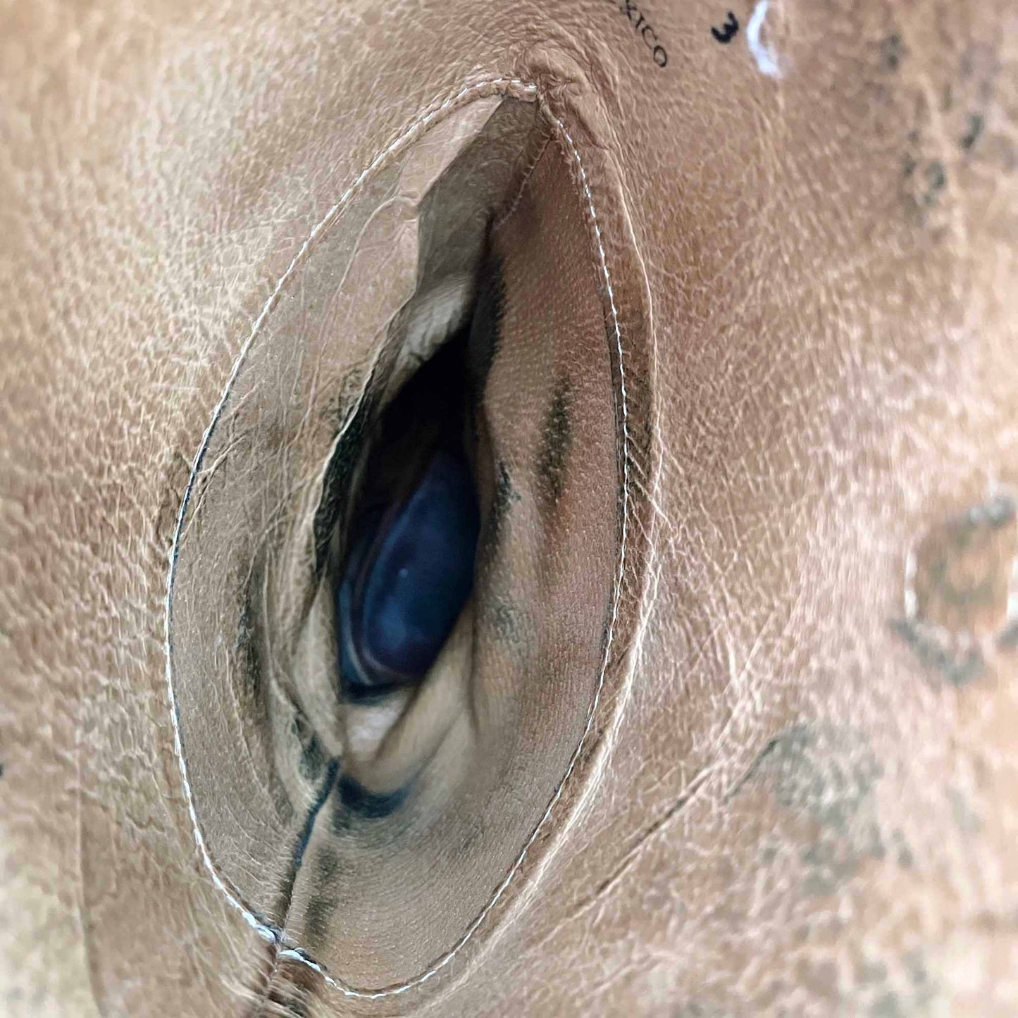 frye lindsay plate burnt red leather riding boot - size 6