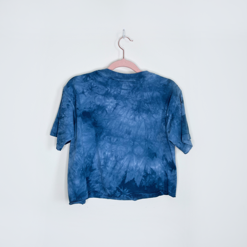 the mountain 2000's dream catcher cropped tie dye tee - size small